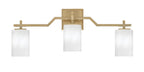 Toltec Lighting | 2313-NAB-3001