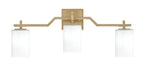 Toltec Lighting | 2313-NAB-310
