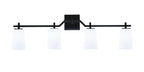 Toltec Lighting | 2314-MB-261