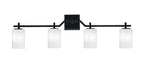 Toltec Lighting | 2314-MB-3001