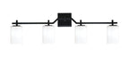 Toltec Lighting | 2314-MB-310