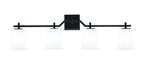 Toltec Lighting | 2314-MB-5031
