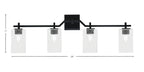 Toltec Lighting | 2314-MB-530