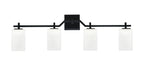 Toltec Lighting | 2314-MB-531