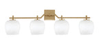 Toltec Lighting | 2314-NAB-4811
