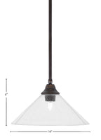Any One Light Pendant in Dark Granite with Clear Bubble Shade
