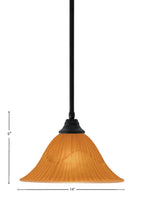 Any One Light Pendant in Matte Black with 14" Tiger Shade