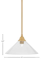 Any One Light Pendant in New Age Brass with 16" Clear bubble Shade