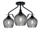 Toltec Lighting | 2607-MB-4602