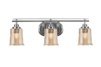 Toltec Lighting | 2613-BN-4233