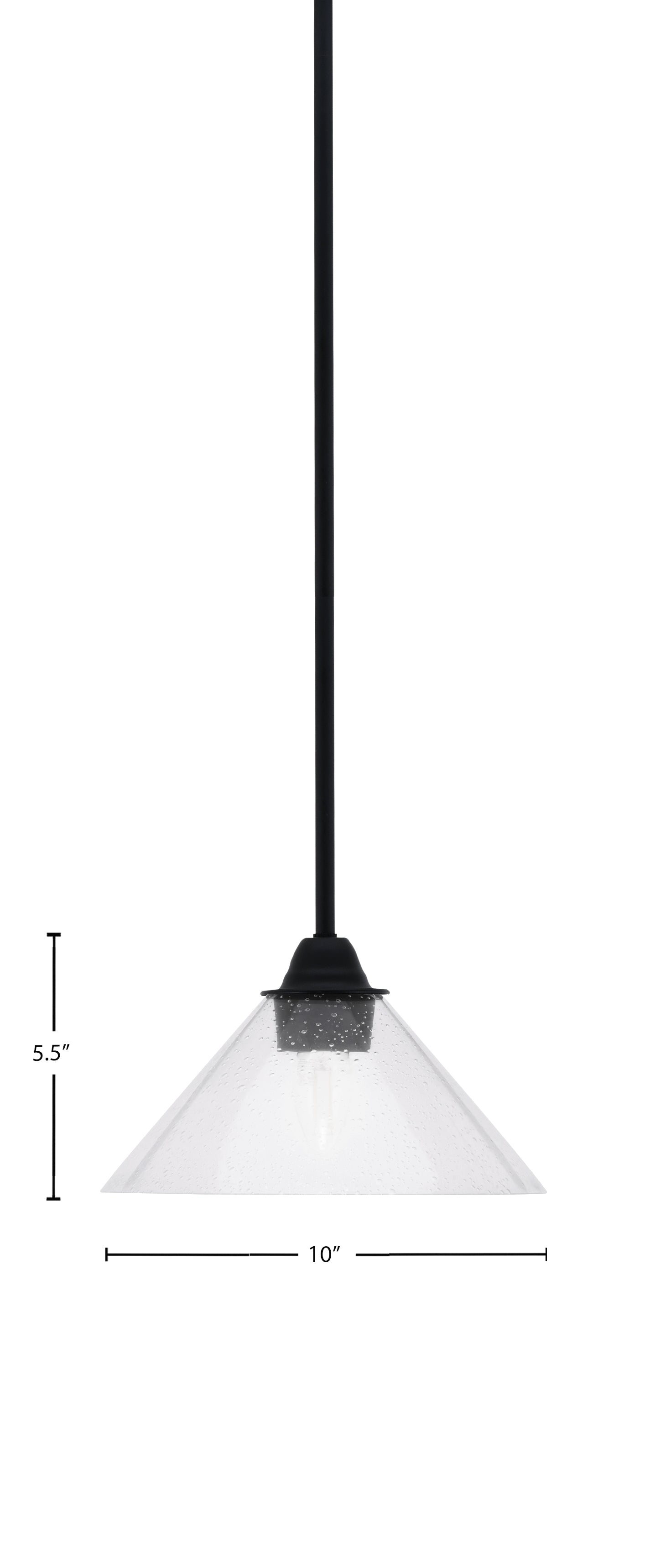 Paramount One Light Mini Pendant in Matte Black with 10" Clear Bubble Shade