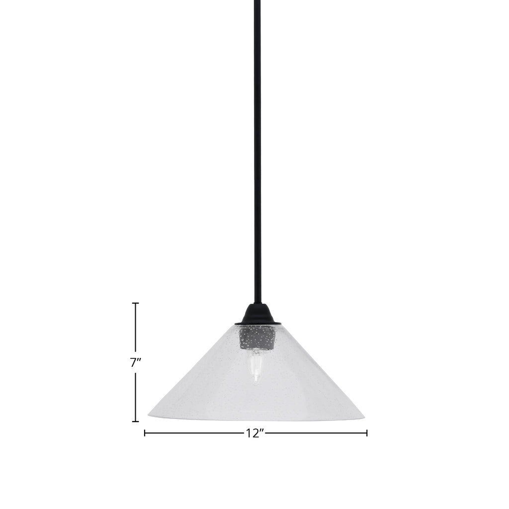 Paramount One Light Mini Pendant in Matte Black with 12" Clear Bubble Shade
