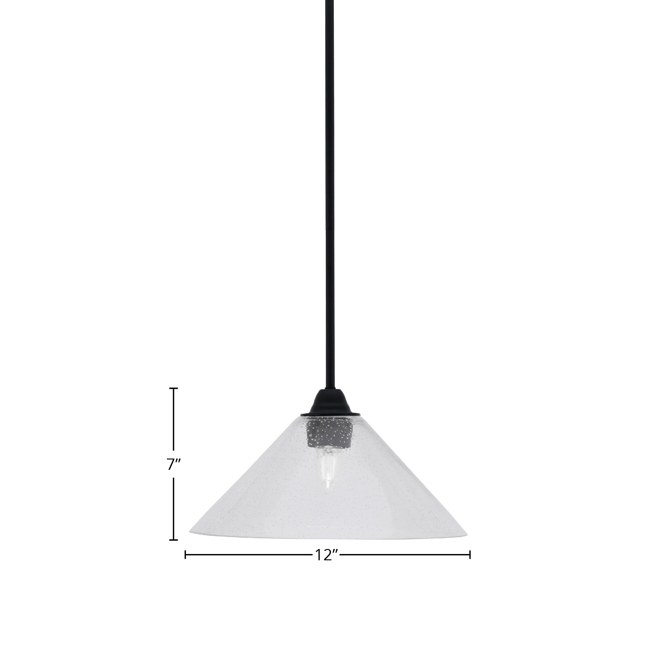 Paramount One Light Mini Pendant in Matte Black with 12" Clear Bubble Shade
