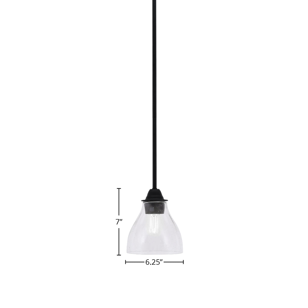 Paramount One Light Mini Pendant in Matte Black with 6.25" Clear Bubble Shade