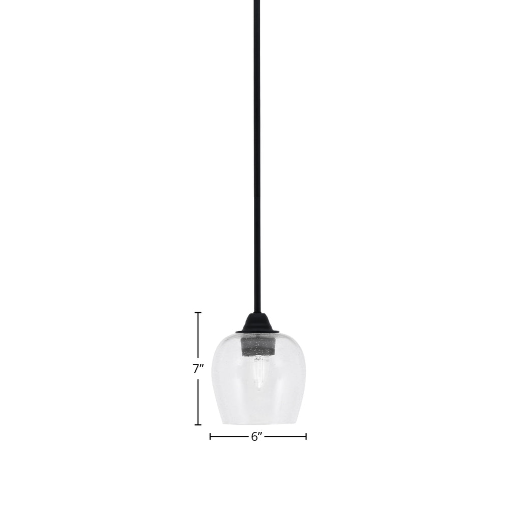 Paramount One Light Mini Pendant in Matte Black with 6" Clear Bubble Shade