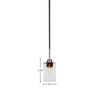 Paramount One Light Mini Pendant in Matte Black & Brushed Nickel with 4" Clear Bubble Shade