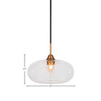 Paramount One Light Pendant in Matte Black & Brass with 13" Clear Bubble Shade