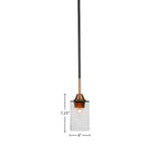 Paramount One Light Mini Pendant in Matte Black & Brass with 4" Clear Bubble Shade