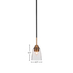 Paramount One Light Mini Pendant in Matte Black & Brass with 4.5" Square Clear Bubble Shade