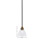 Paramount One Light Mini Pendant in Matte Black & Brass with 6.25" Clear Bubble Shade