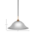 Paramount One Light Pendant in Matte Black & Brass with 20" Dew Drop Shade