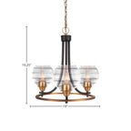 Paramount Three Light Chandelier in Matte Black & Brass with 6" Clear Ribbed Shade