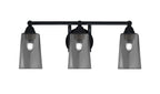 Toltec Lighting | 3423-MB-262