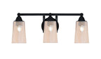 Toltec Lighting | 3423-MB-263