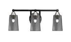 Toltec Lighting | 3423-MBBN-262