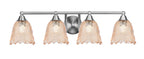 Toltec Lighting | 3424-BN-4233