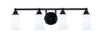 Toltec Lighting | 3424-MB-261