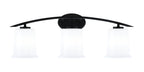 Toltec Lighting | 3723-MB-5031