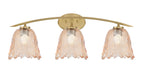 Toltec Lighting | 3723-NAB-4233