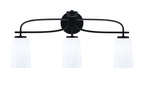 Toltec Lighting | 3913-MB-261