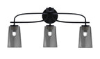 Toltec Lighting | 3913-MB-262
