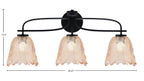 Toltec Lighting | 3913-MB-4233