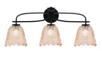 Toltec Lighting | 3913-MB-4233