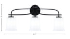 Toltec Lighting | 3913-MB-5031
