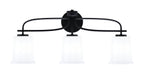 Toltec Lighting | 3913-MB-5031