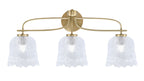 Toltec Lighting | 3913-NAB-4230