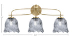 Toltec Lighting | 3913-NAB-4232
