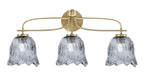 Toltec Lighting | 3913-NAB-4232