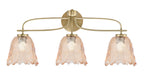 Toltec Lighting | 3913-NAB-4233