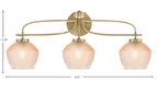 Toltec Lighting | 3913-NAB-4623