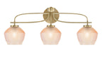 Toltec Lighting | 3913-NAB-4623