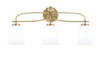 Toltec Lighting | 3913-NAB-5031