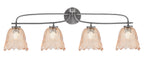 Toltec Lighting | 3914-GP-4233