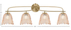 Toltec Lighting | 3914-NAB-4233
