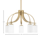 Cavella Five Light Chandelier in New Age Brass with 4" White Muslin Shade
