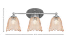 Toltec Lighting | 5913-BN-4233